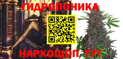 индика Ликино-Дулёво
